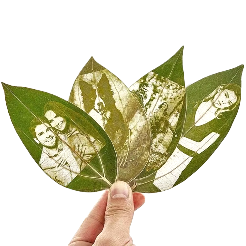 DIY leaves for laser engraving – Industrial Laser Technology Bewertung und Preis