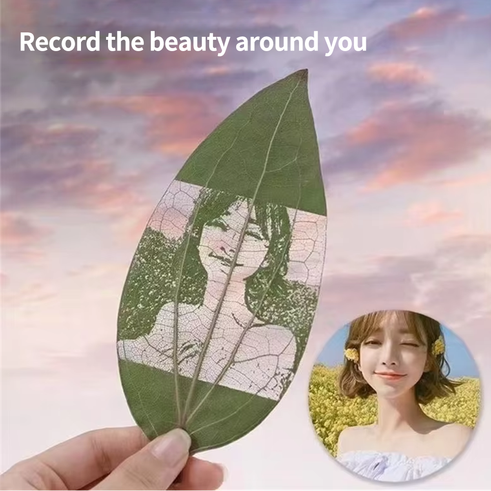 DIY leaves for laser engraving – Industrial Laser Technology Bewertung und Preis